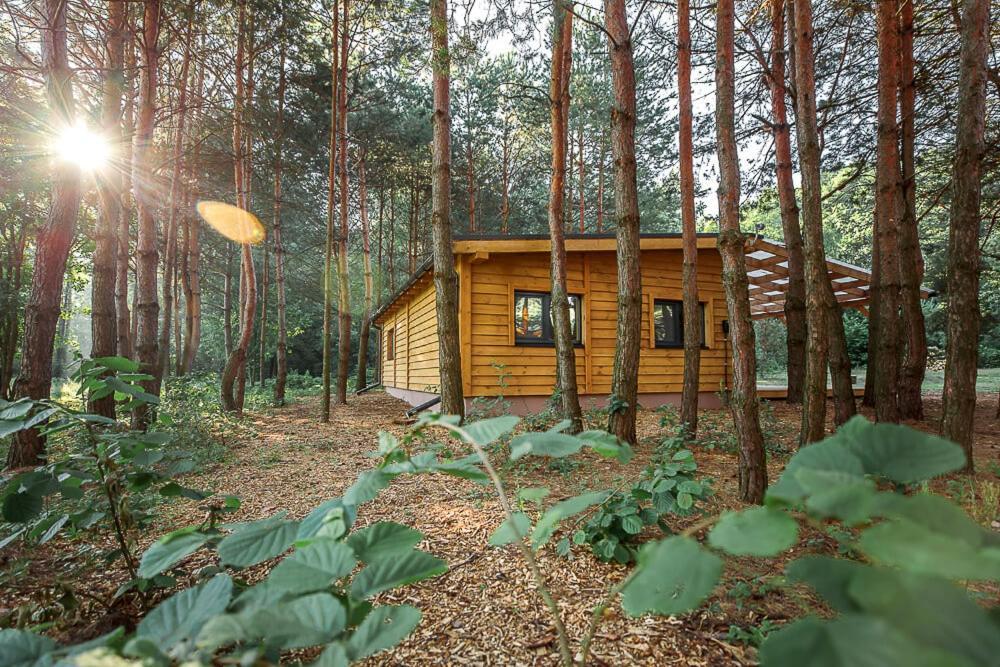 Уліс Дудки Котеджі Dudky Extérieur photo